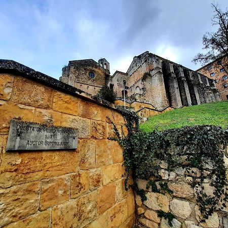 Apartamento Medieval En El Camino De Santiago Estella Extérieur photo